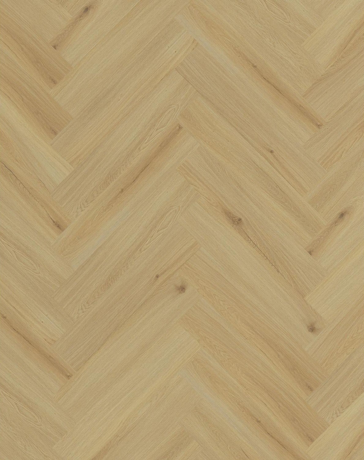 Clearwater, Plak,Visgraat